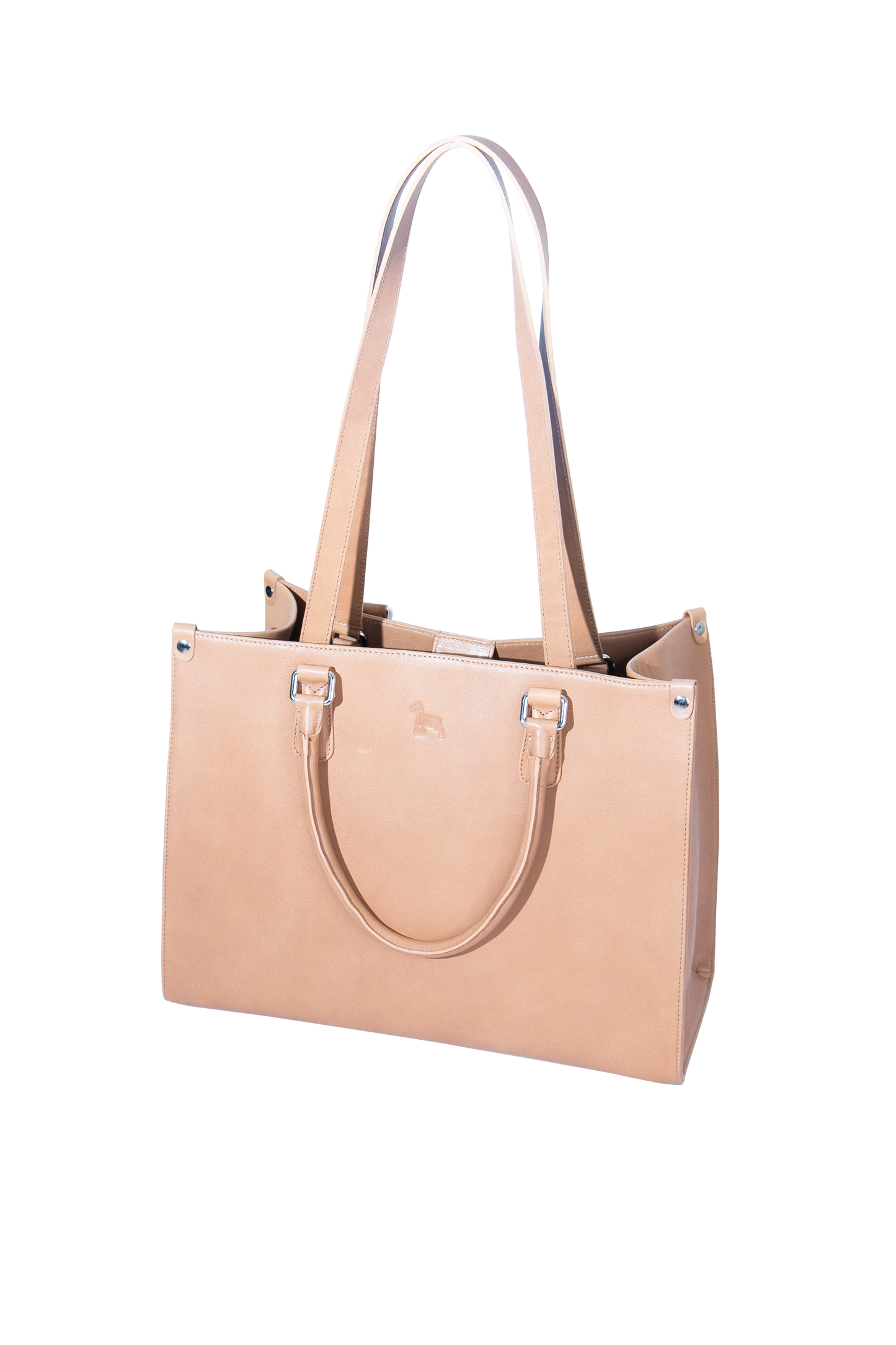 Tote Frida